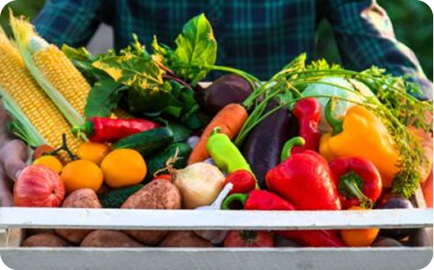 Wooden crate filled with fresh vegetables including corn, peppers and tomatoes